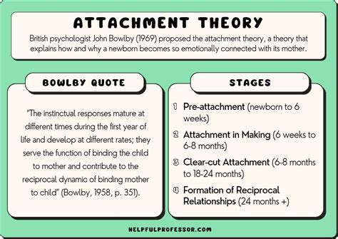Through her observational work, Mary Ainsworth discovered three primary <strong>attachment</strong> styles that may affect children. . John bowlby attachment theory summary